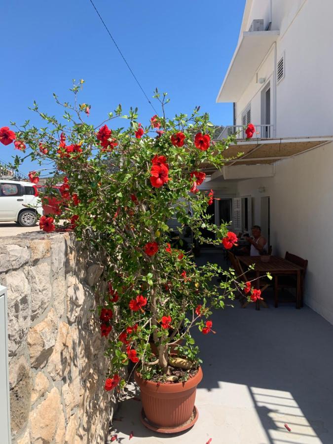 Apartments Nikola Stipisic Hvar Town Exterior foto